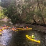 kayak rentals in crystal river florida
