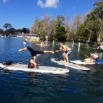 paddle board crystal river