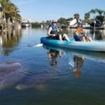 kayakers viewing manatees underwater on a kayak cocoa beach fl