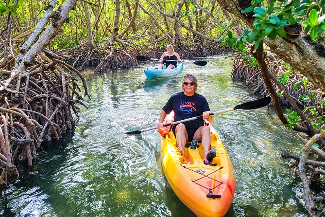 Mangrove Tunnels on a kayak rental sarasota