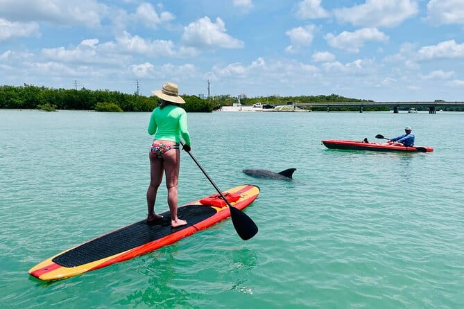 lady stands up while others use kayak rentals fort myers