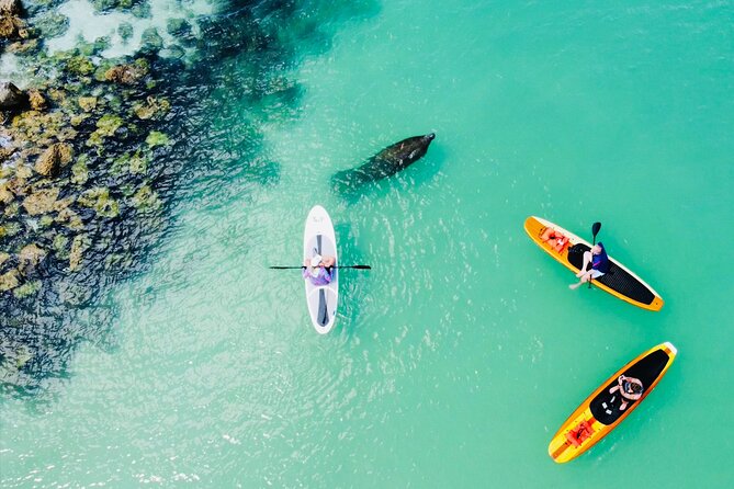 aerial view of people kayaking fort myers