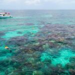 crystal clear waters on a key largo private snorkeling tours