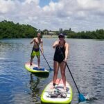 paddleboard rental sarasota