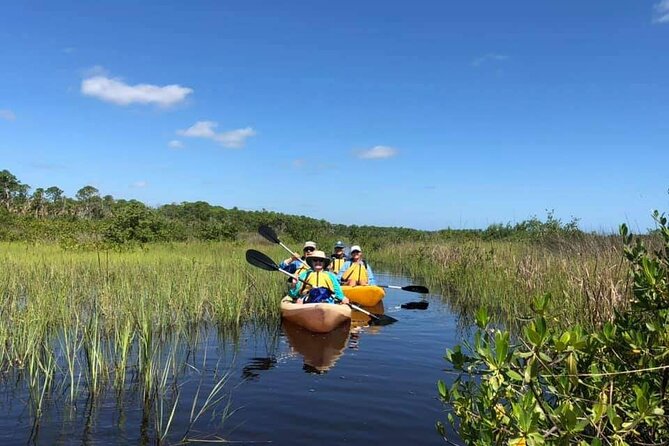 adventurers on a kayak excursion