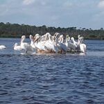 bird sightings on an eco excursions
