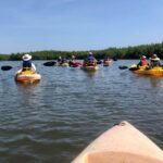 kayak boat tours new smyrna beach