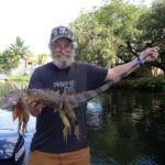 big iguana from danie hunt
