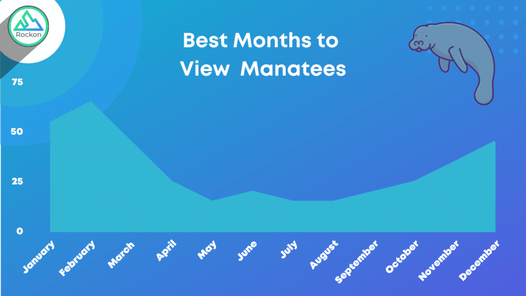 best months to view manatees in florida