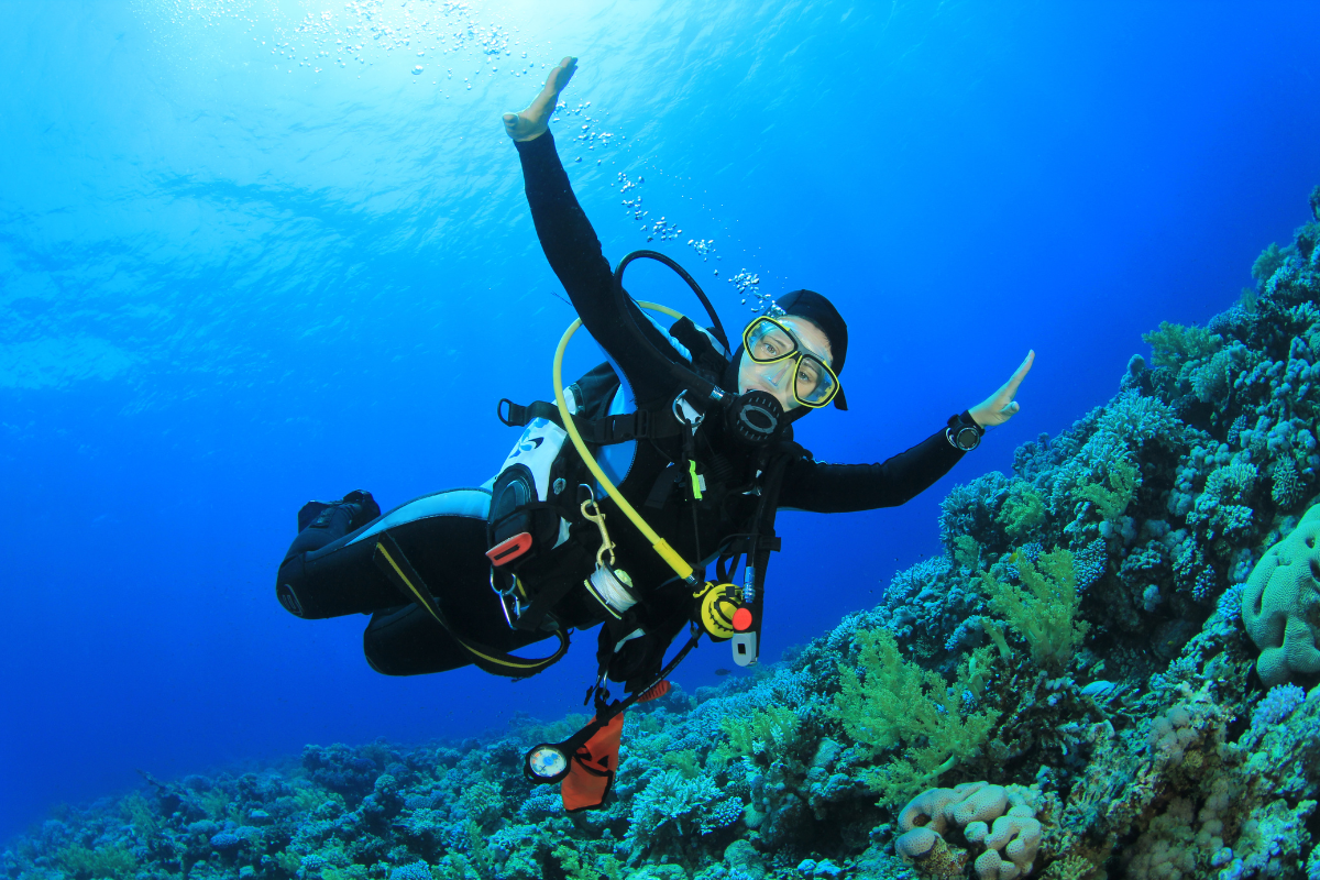 PADI diving certification