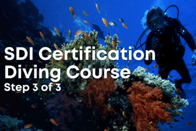 SDI Certification Dive Course Step 3 of 3