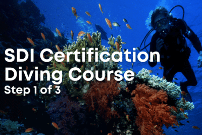 SDI Certification Dive Course Step 1 of 3