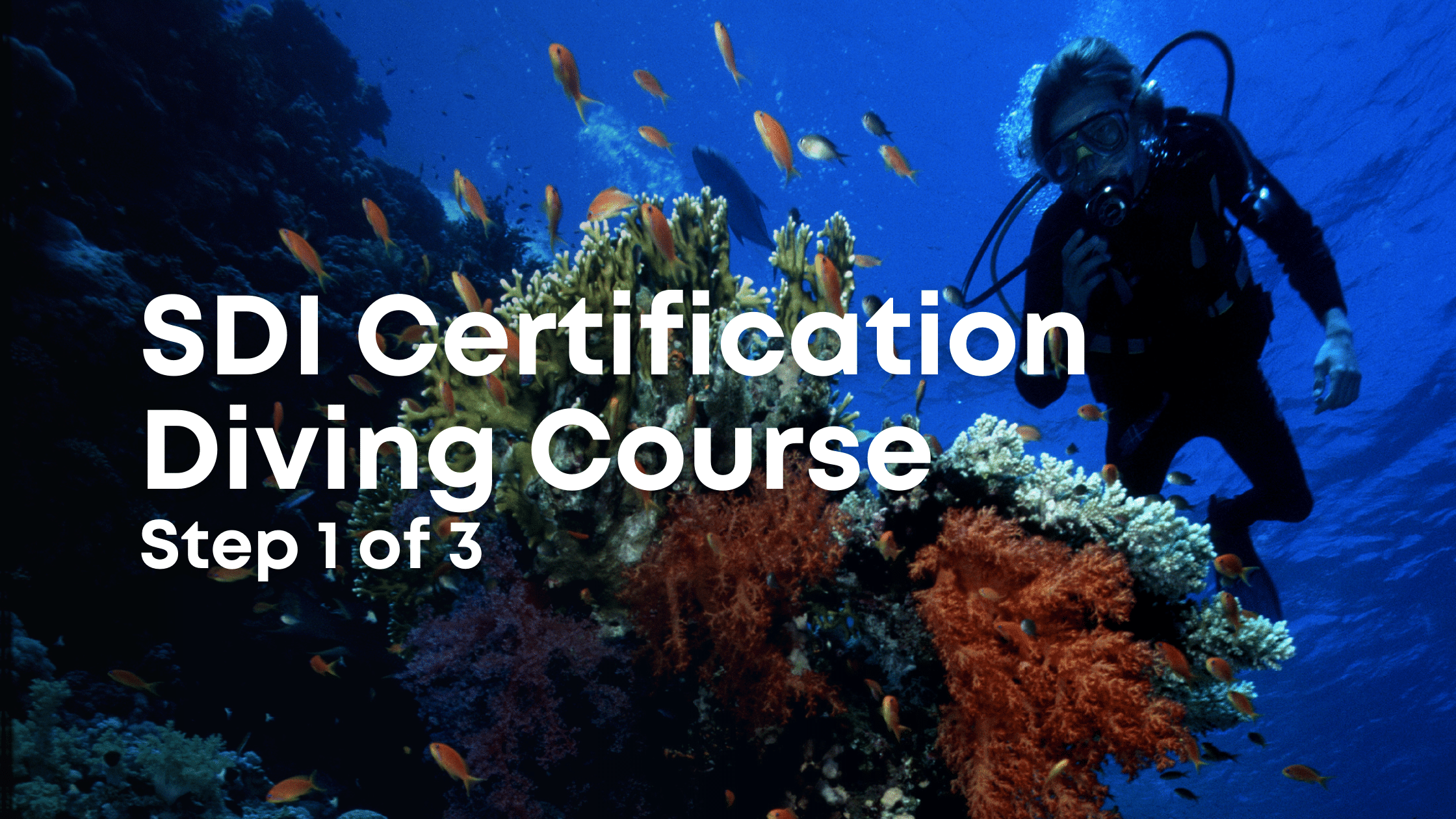 SDI Scuba Diving Certification (Step 1 of 3)