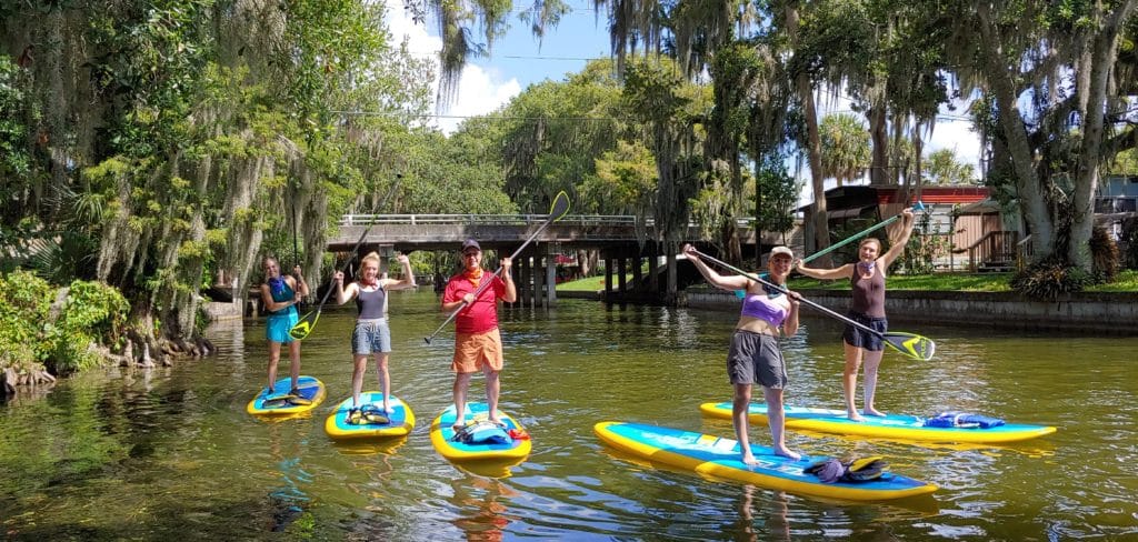 Guided Paddle Board Tour and Lunch