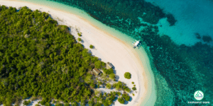 aerial view of cape coral shoreline