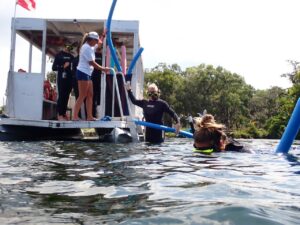crystal river manatee tours