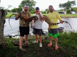 guys showing off iguanas hunting in florida