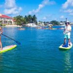 siesta key paddle board rental