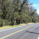hawaii-maui-road-to-hana-tour