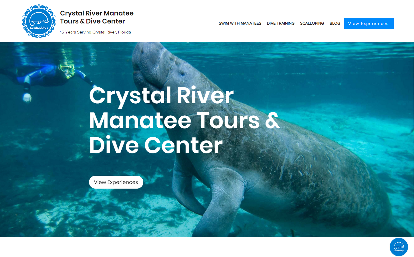 Manatee Tour Website Design by Rockons travel agency digital marketing