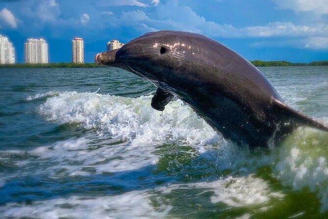 dolphin inn fort myers beach
