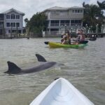 kayak with manatees fort myers