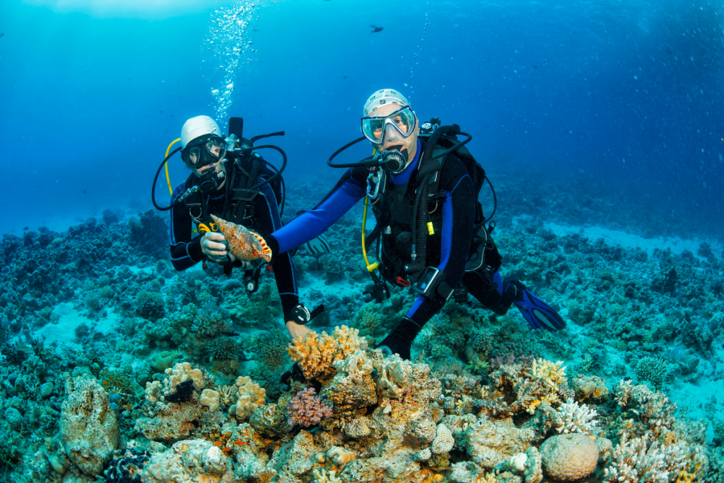 scuba diving for couples, fun things to do near me