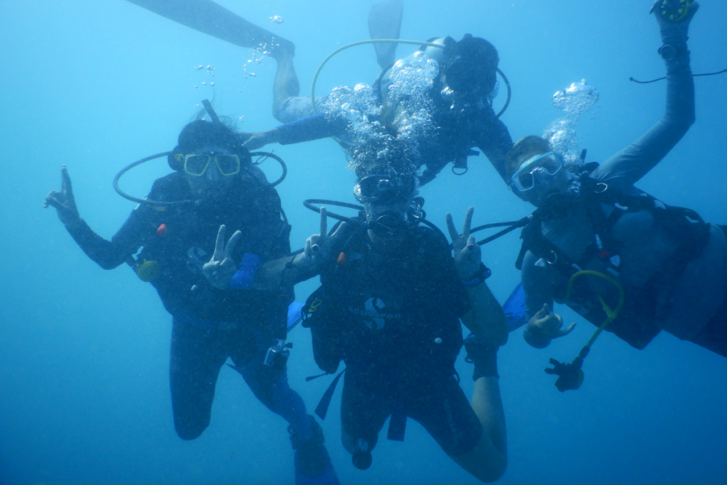 dive tours for fun things to do for young adults near me
